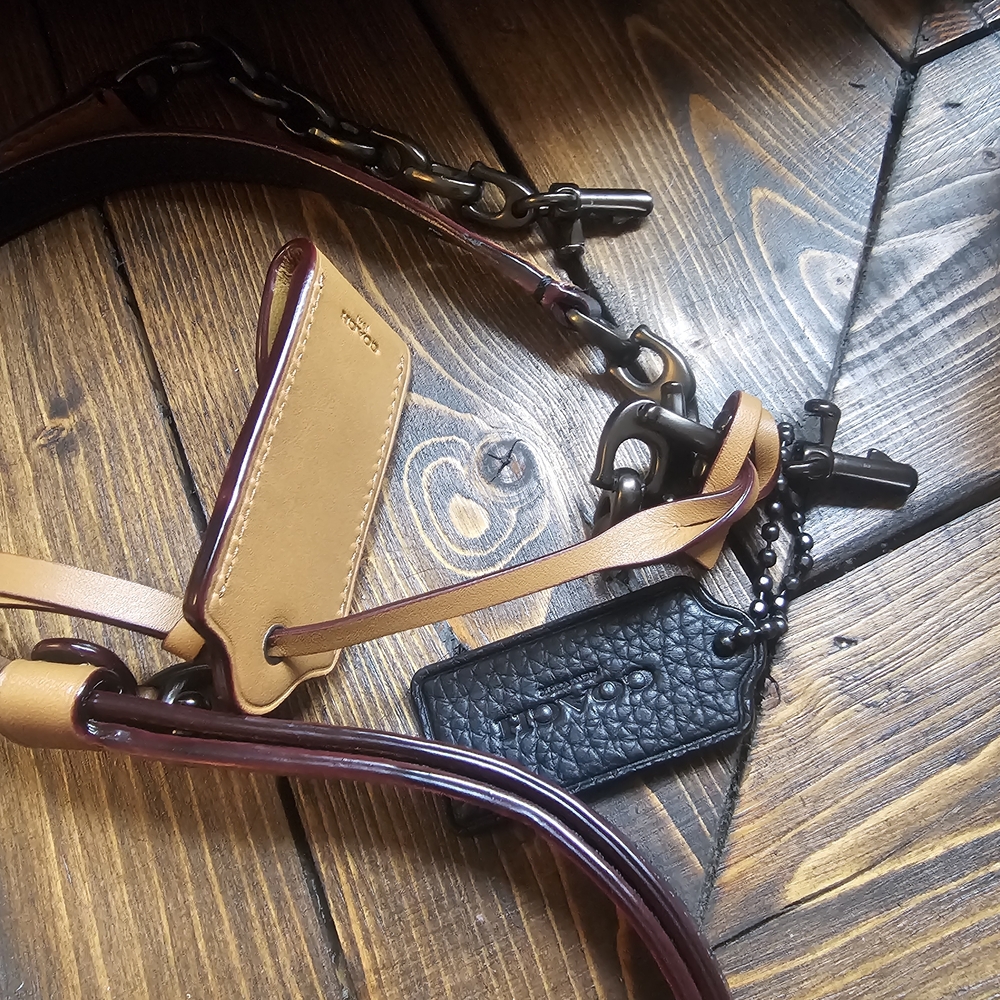 Coach Swagger Chain Crossbody - Picture 3 of 9